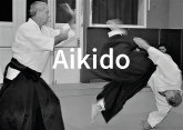 Aikido 1