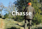 Chasse