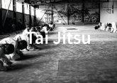 Taijitsu